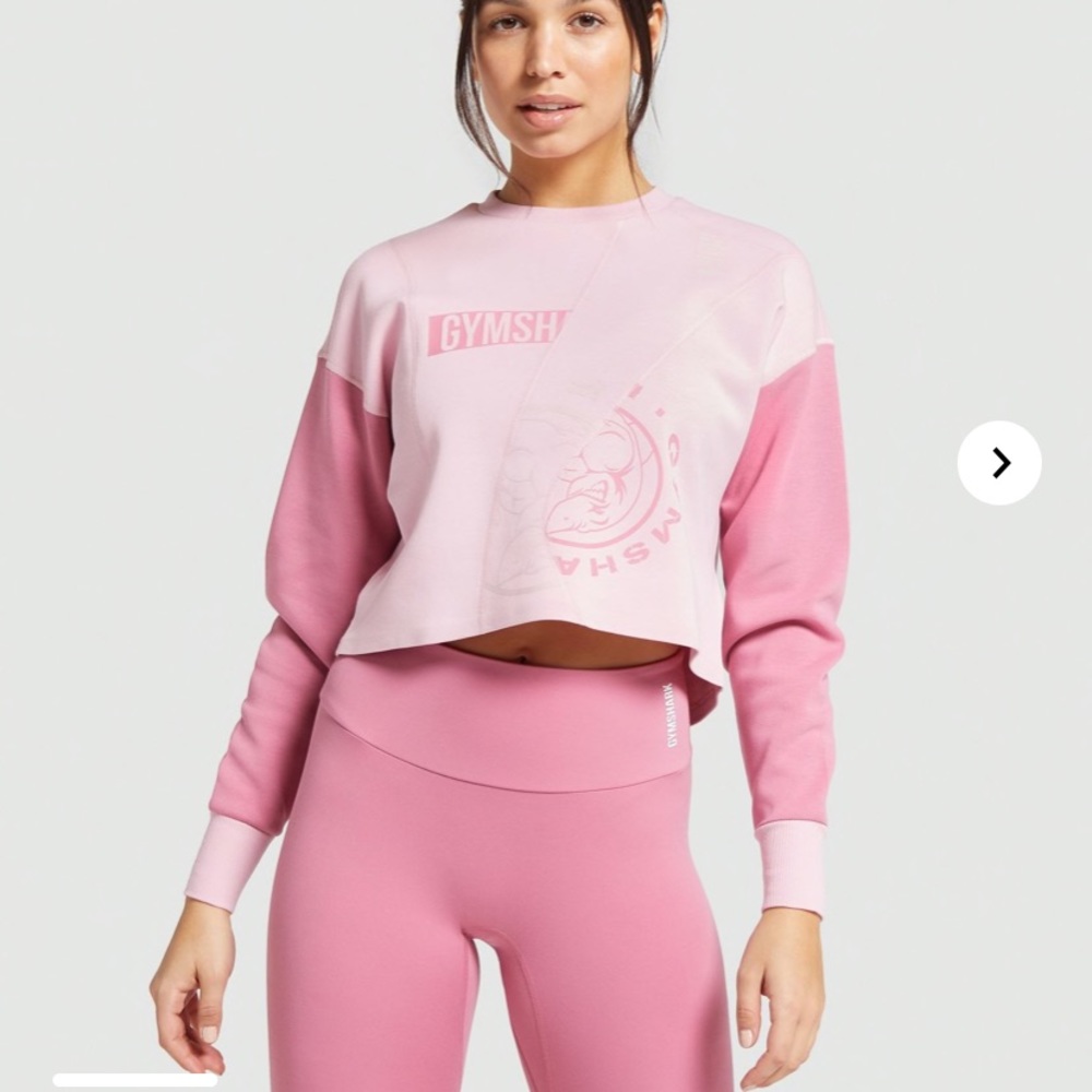 ISO GYMSHARK REWIND SWEATER